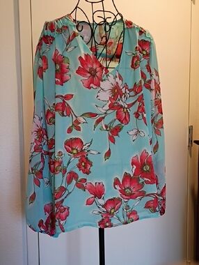 Bella By Kim GravelFloral V-Neck Long Sleeve Blouse - Aqua with Red Flower Print